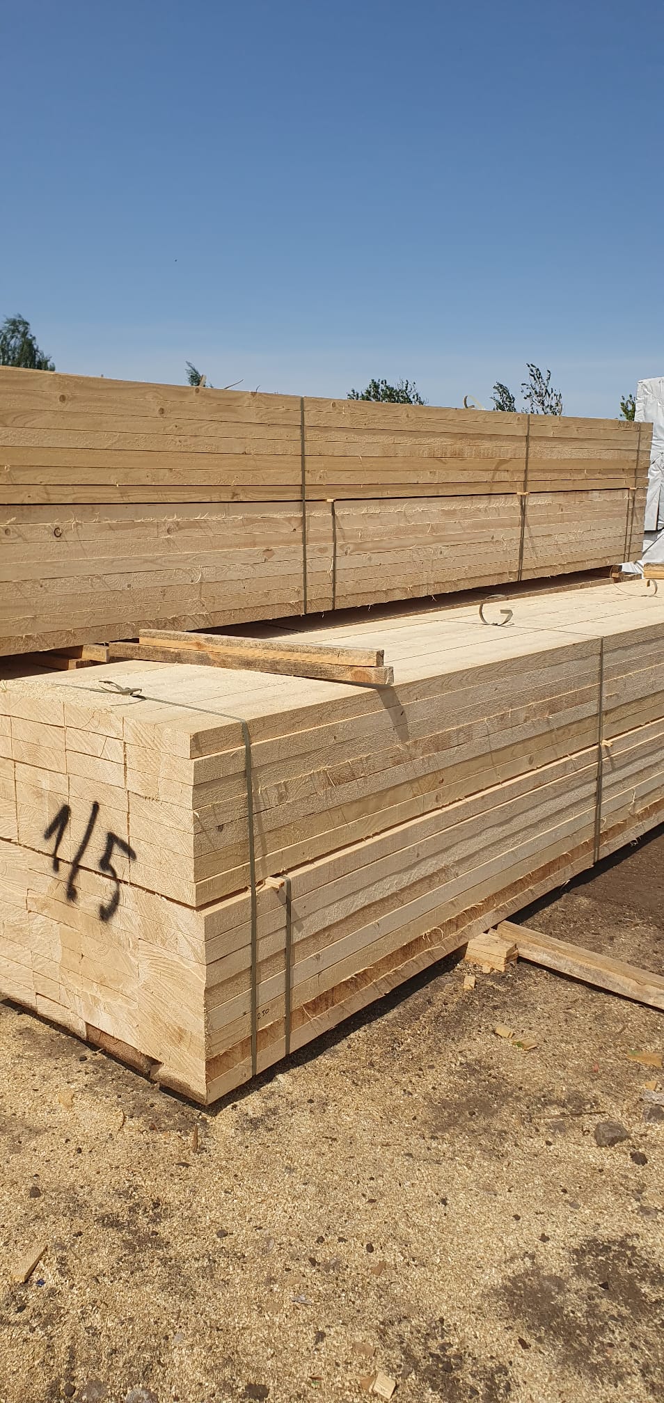 Red Holt Russian Company