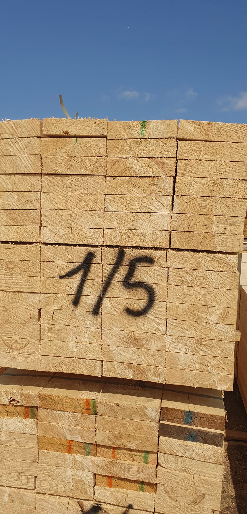 Red Holt Russian Company